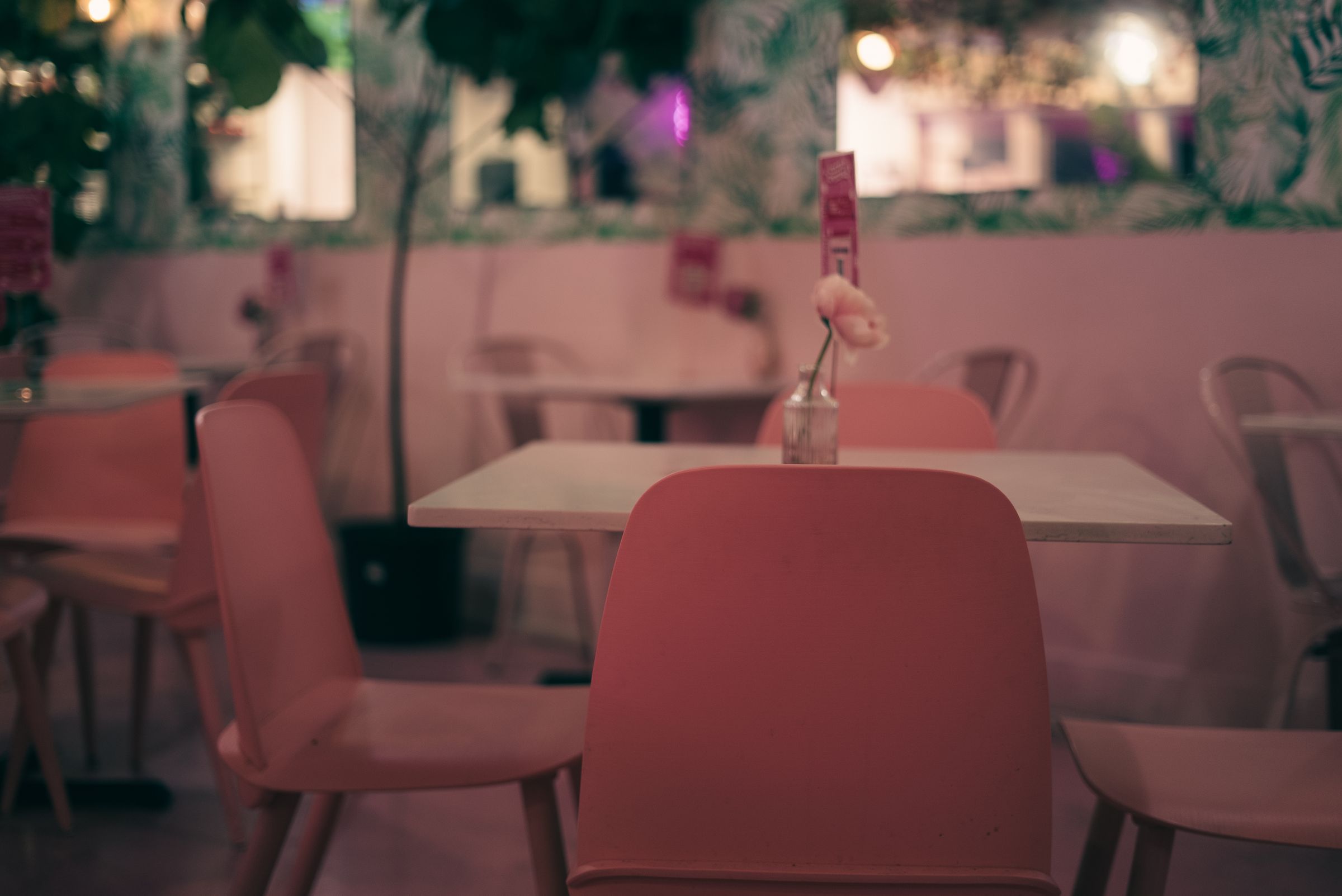 Placeholder photograph of a wide pink café interior.